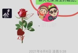 吃瓜炸裂聊天记录视频,揭秘视频背后的惊人真相