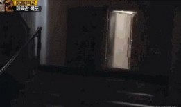 明星大侦探 黑暗爆料在线观看免费高清,揭秘娱乐圈背后的秘密！